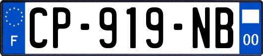 CP-919-NB