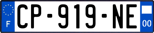 CP-919-NE