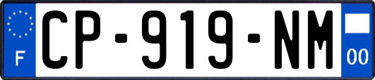 CP-919-NM