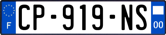 CP-919-NS