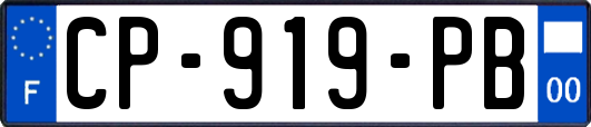 CP-919-PB
