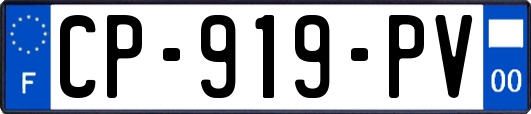 CP-919-PV