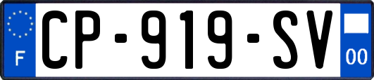 CP-919-SV