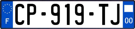 CP-919-TJ