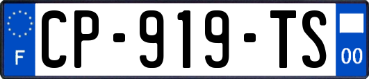 CP-919-TS