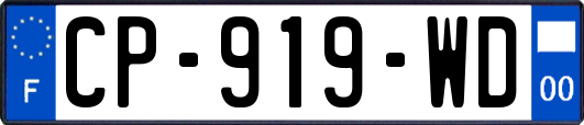 CP-919-WD