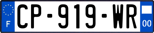 CP-919-WR