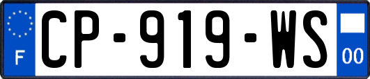 CP-919-WS