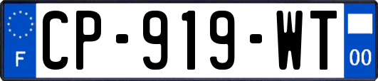CP-919-WT