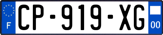 CP-919-XG