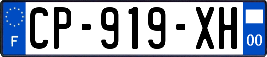 CP-919-XH