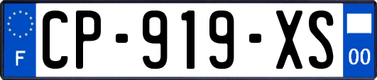 CP-919-XS