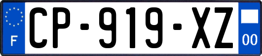 CP-919-XZ