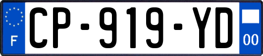 CP-919-YD