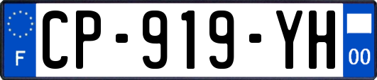 CP-919-YH