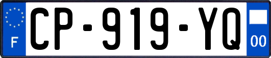 CP-919-YQ