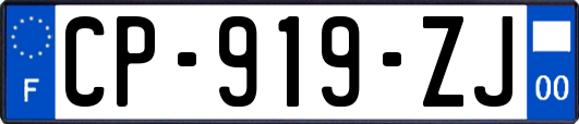 CP-919-ZJ