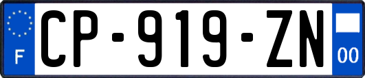 CP-919-ZN