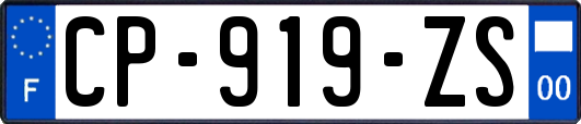 CP-919-ZS