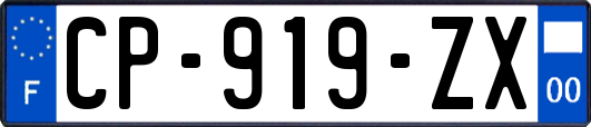 CP-919-ZX