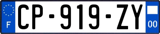 CP-919-ZY