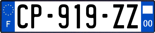 CP-919-ZZ