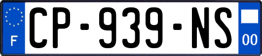 CP-939-NS