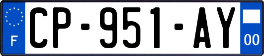 CP-951-AY