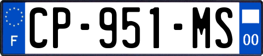 CP-951-MS
