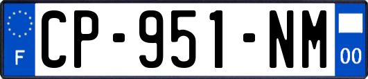 CP-951-NM