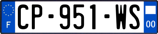 CP-951-WS