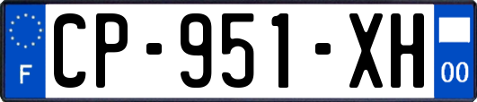 CP-951-XH