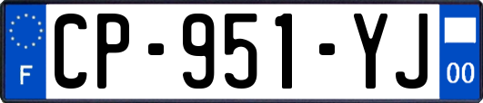 CP-951-YJ