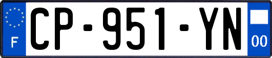 CP-951-YN