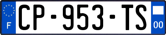 CP-953-TS