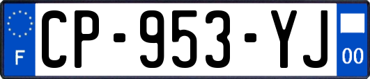 CP-953-YJ