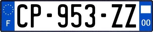 CP-953-ZZ