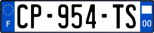 CP-954-TS