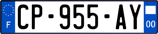 CP-955-AY