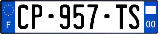 CP-957-TS