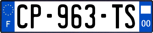 CP-963-TS