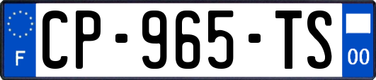 CP-965-TS