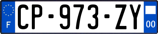 CP-973-ZY