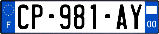 CP-981-AY