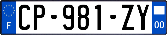 CP-981-ZY