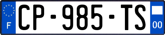 CP-985-TS