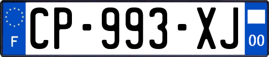 CP-993-XJ