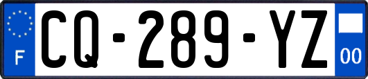 CQ-289-YZ