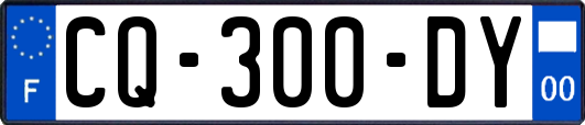 CQ-300-DY