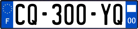 CQ-300-YQ